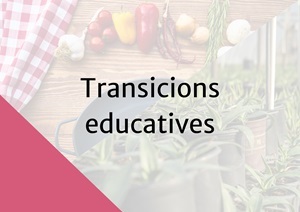 Transicions educatives